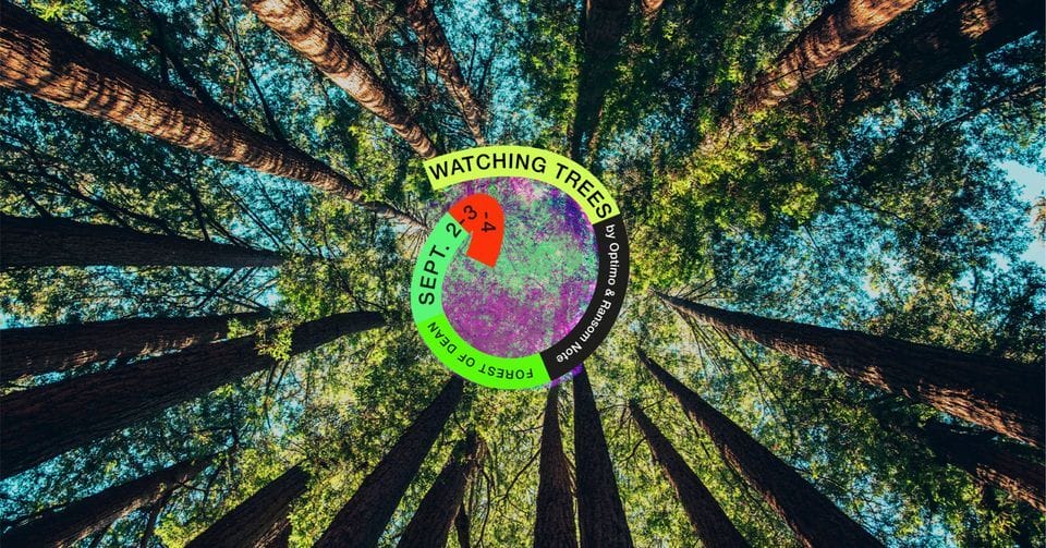 Full lineup announced for Watching Trees Festival 2022 TheFestivals